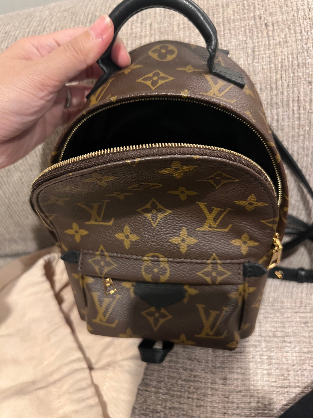 Louis Vuitton Mini Palm Springs Backpack