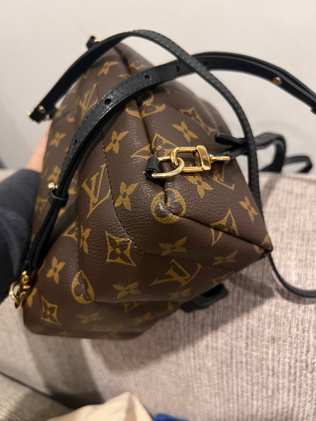Louis Vuitton Mini Palm Springs Backpack