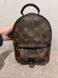 Louis Vuitton Mini Palm Springs Backpack