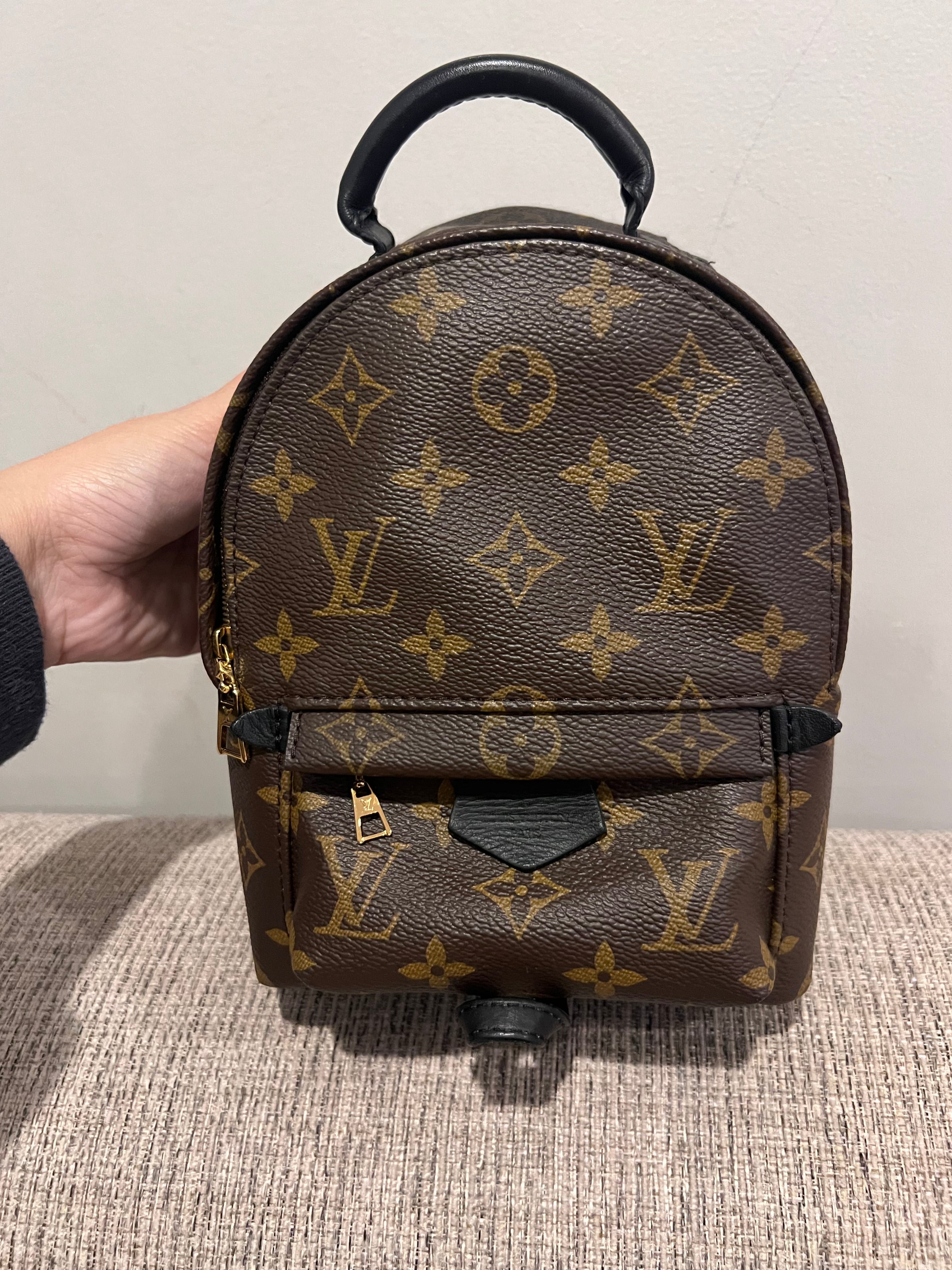 Louis Vuitton Mini Palm Springs Backpack