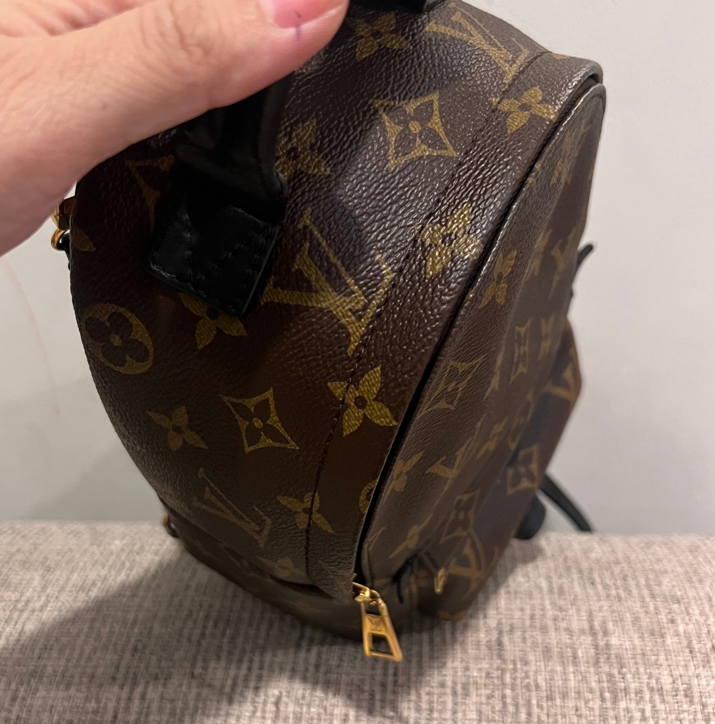 Louis Vuitton Mini Palm Springs Backpack