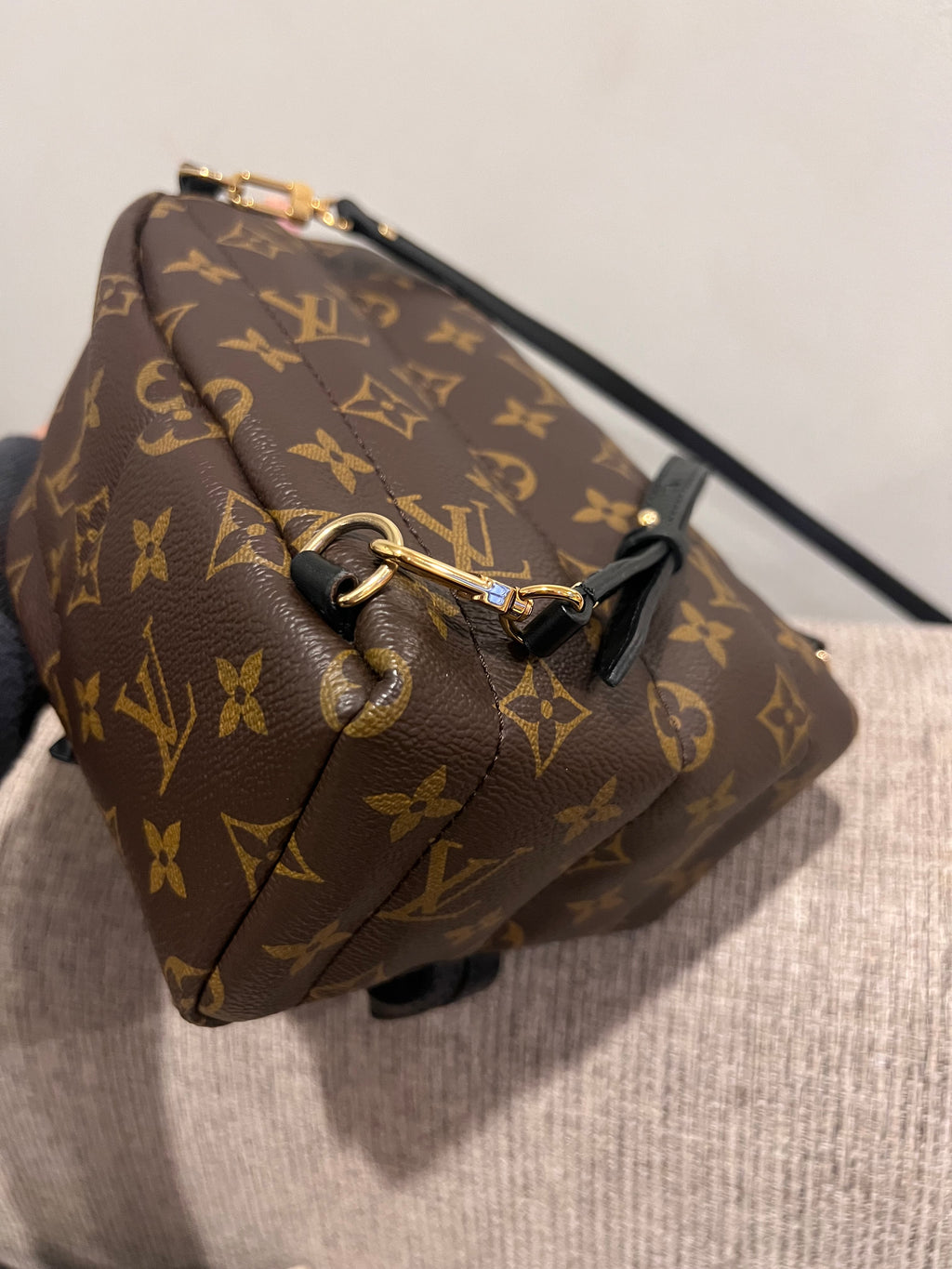 Louis Vuitton Mini Palm Springs Backpack