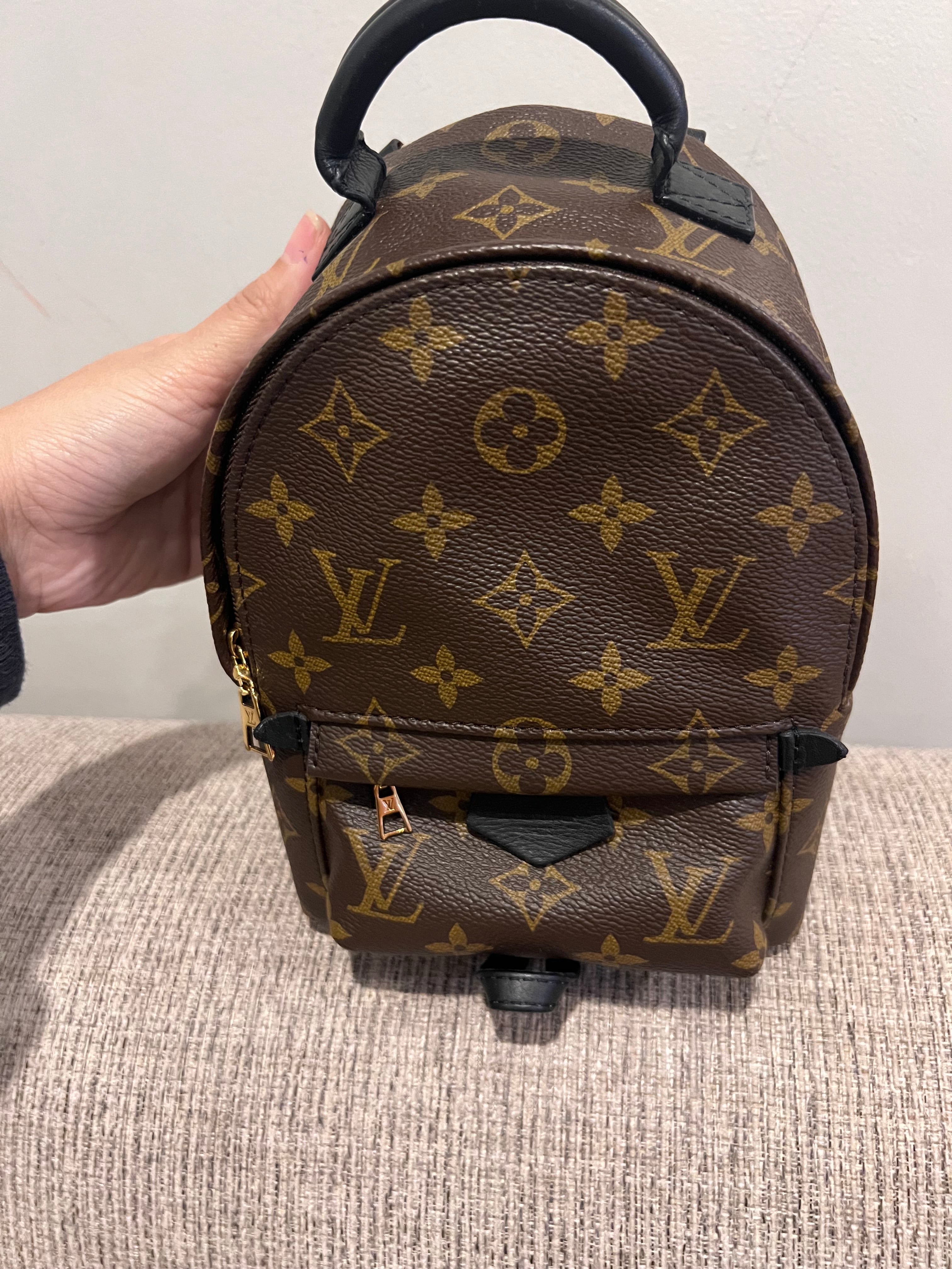 Louis Vuitton Mini Palm Springs Backpack