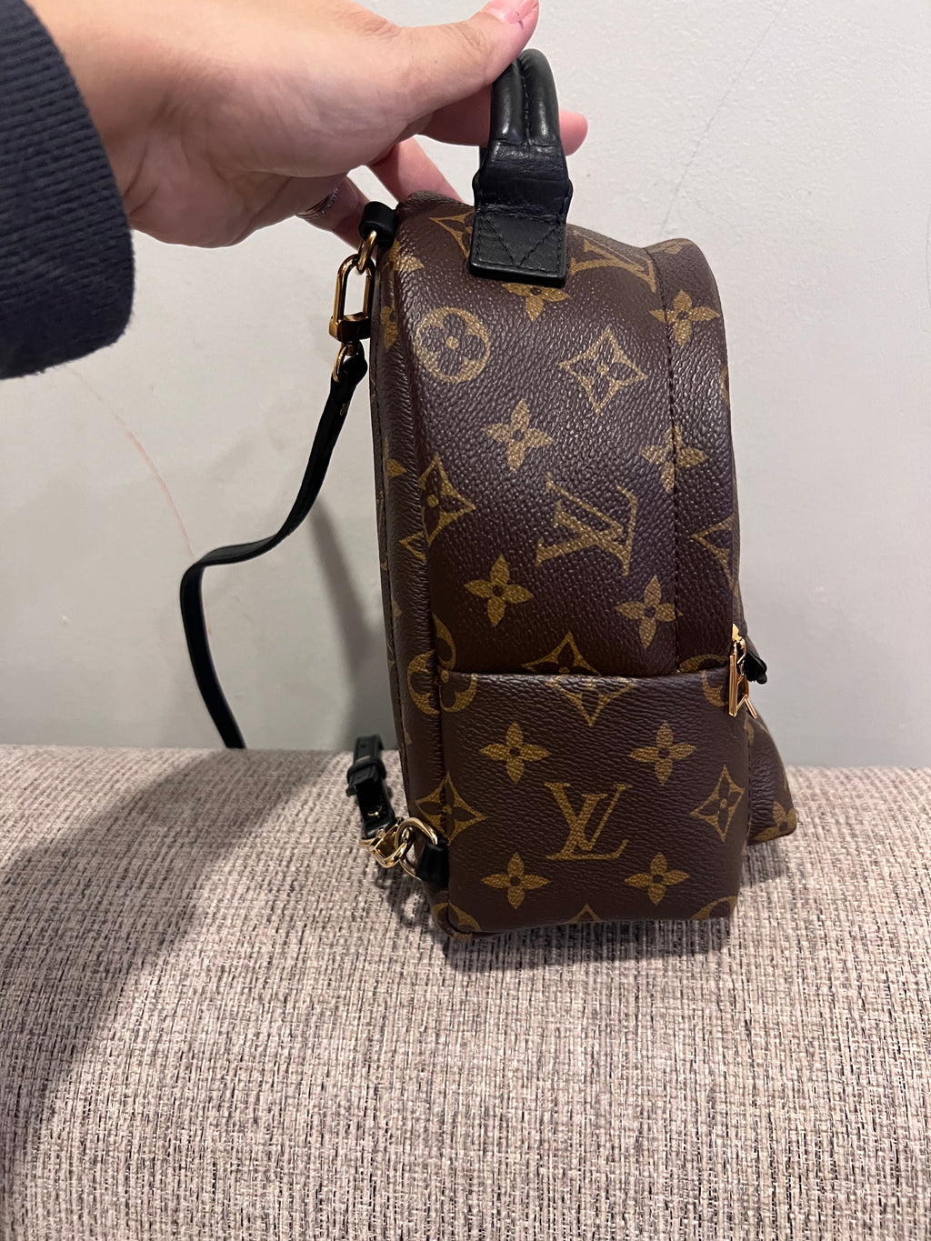 Louis Vuitton Mini Palm Springs Backpack