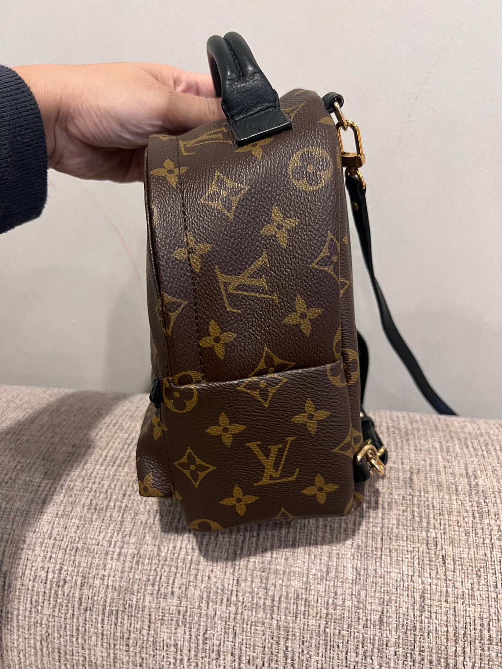 Louis Vuitton Mini Palm Springs Backpack
