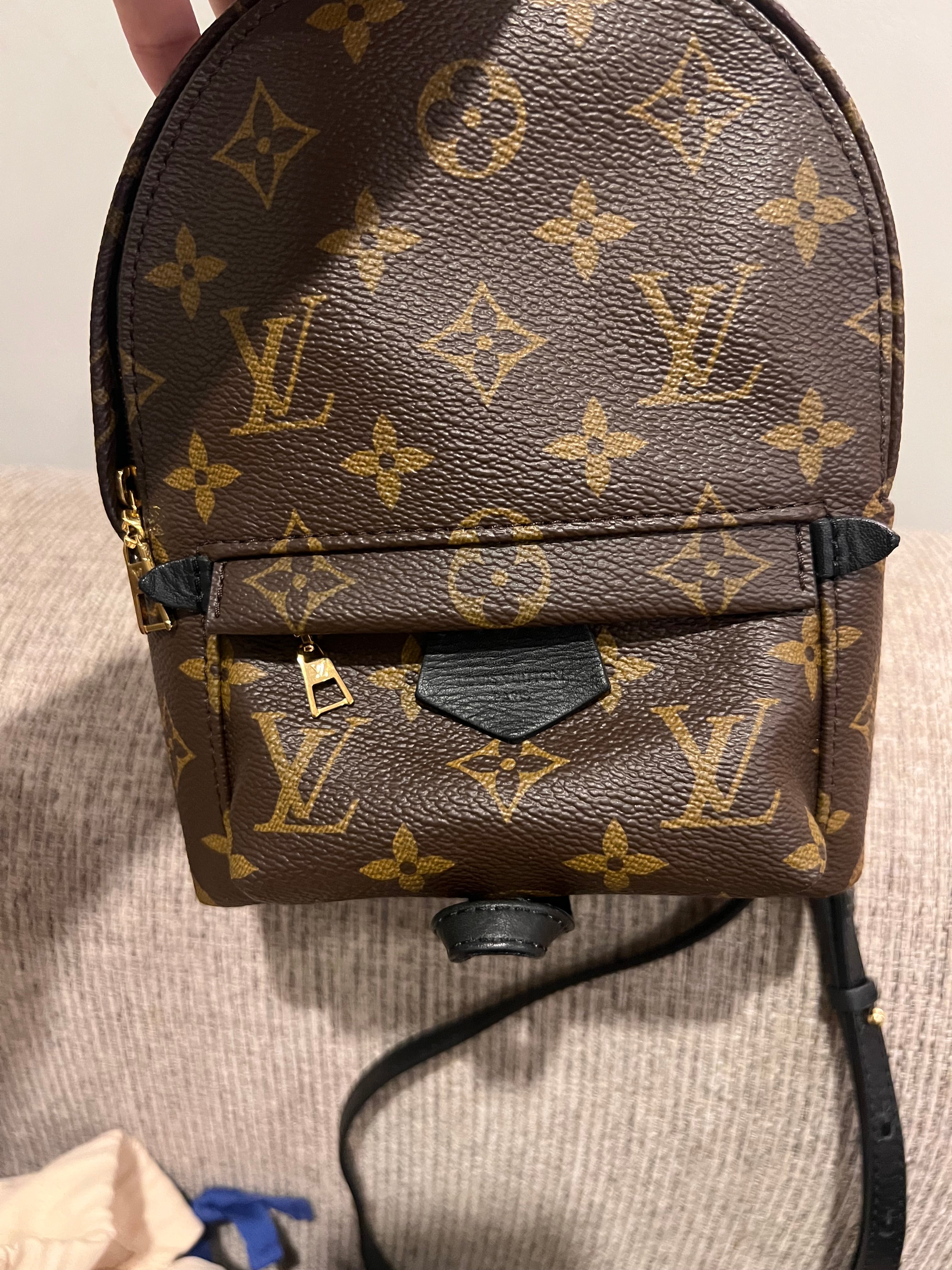 Louis Vuitton Mini Palm Springs Backpack