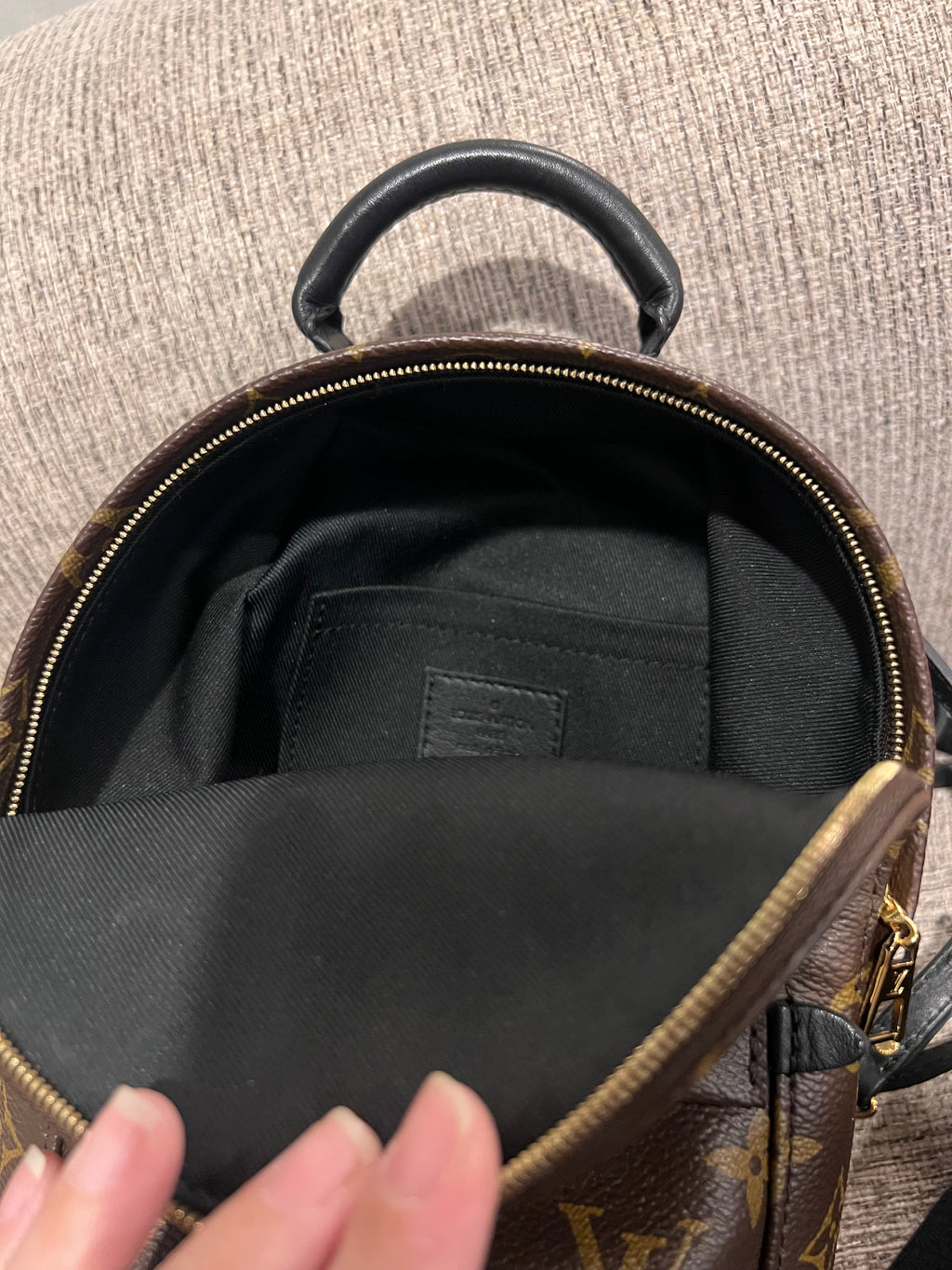 Louis Vuitton Mini Palm Springs Backpack