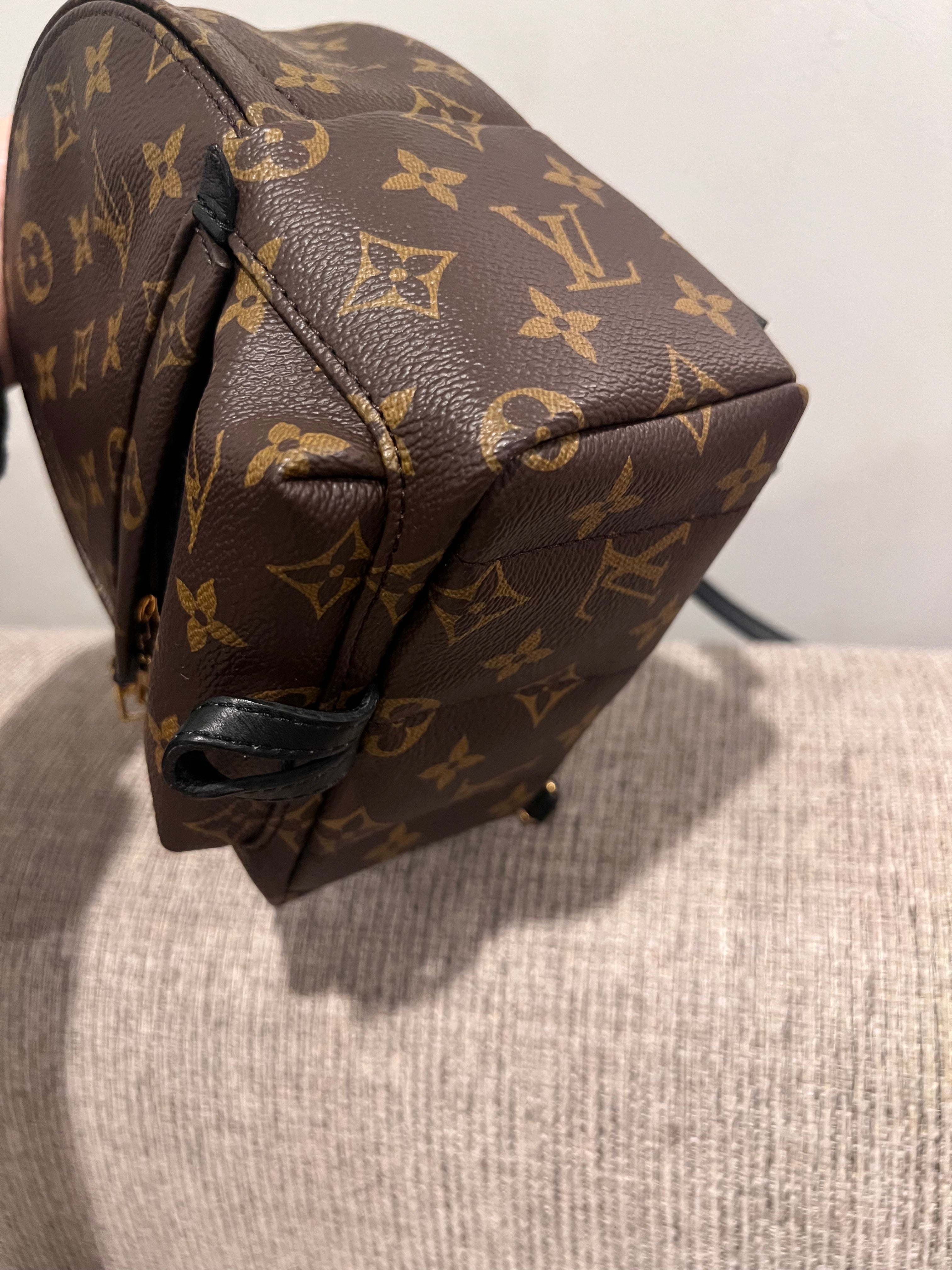 Louis Vuitton Mini Palm Springs Backpack