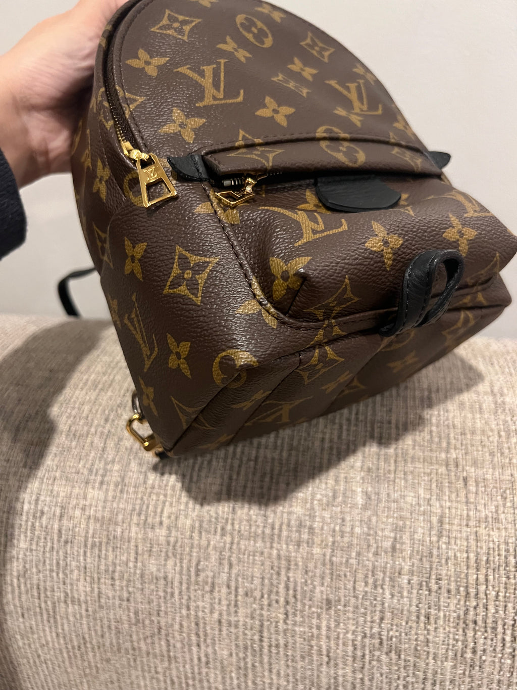Louis Vuitton Mini Palm Springs Backpack