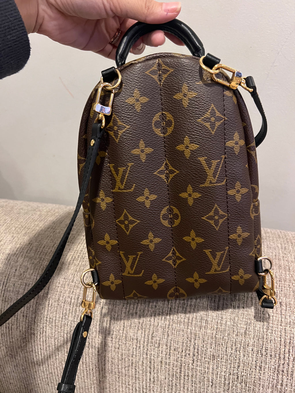 Louis Vuitton Mini Palm Springs Backpack