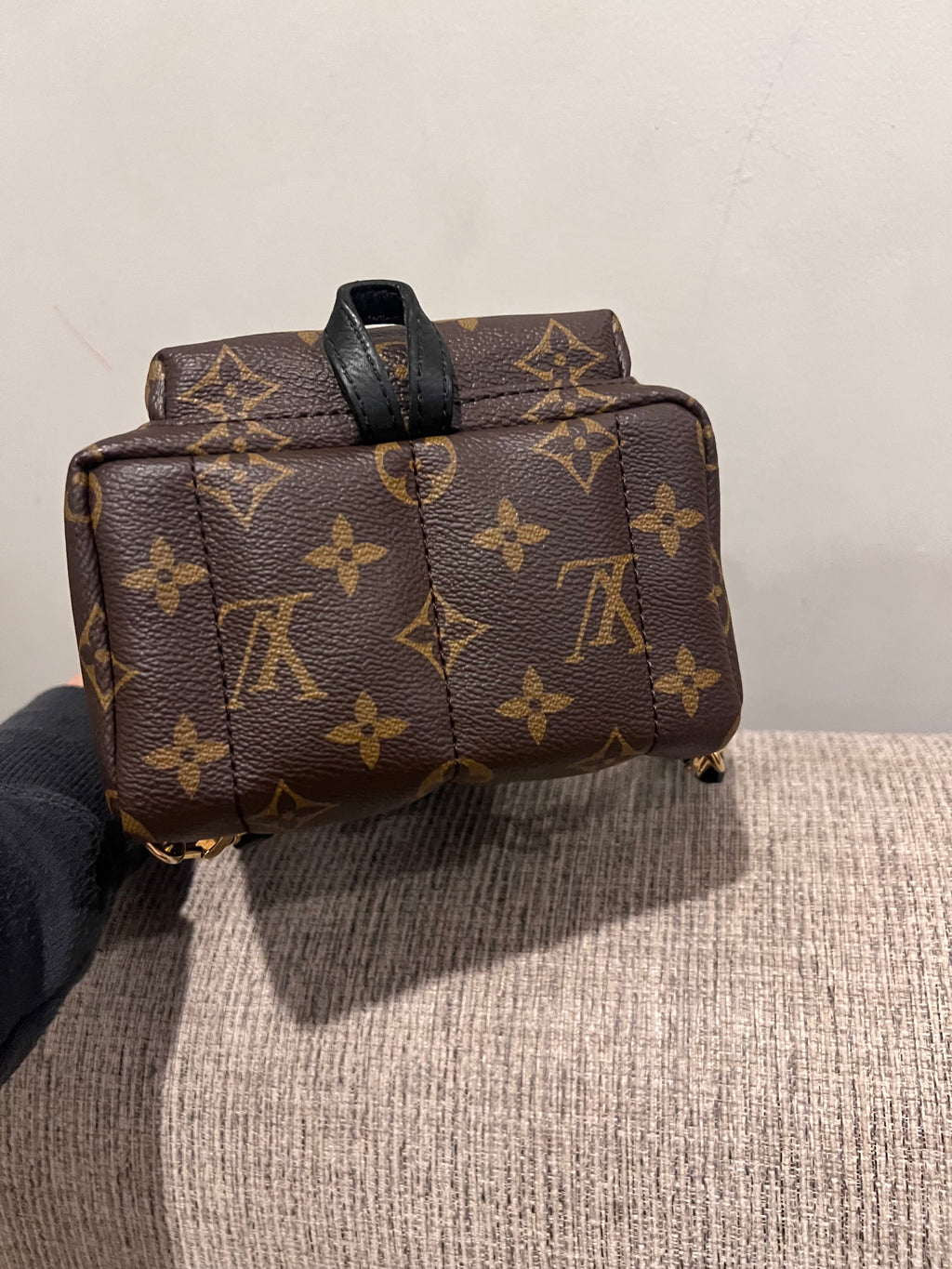 Louis Vuitton Mini Palm Springs Backpack