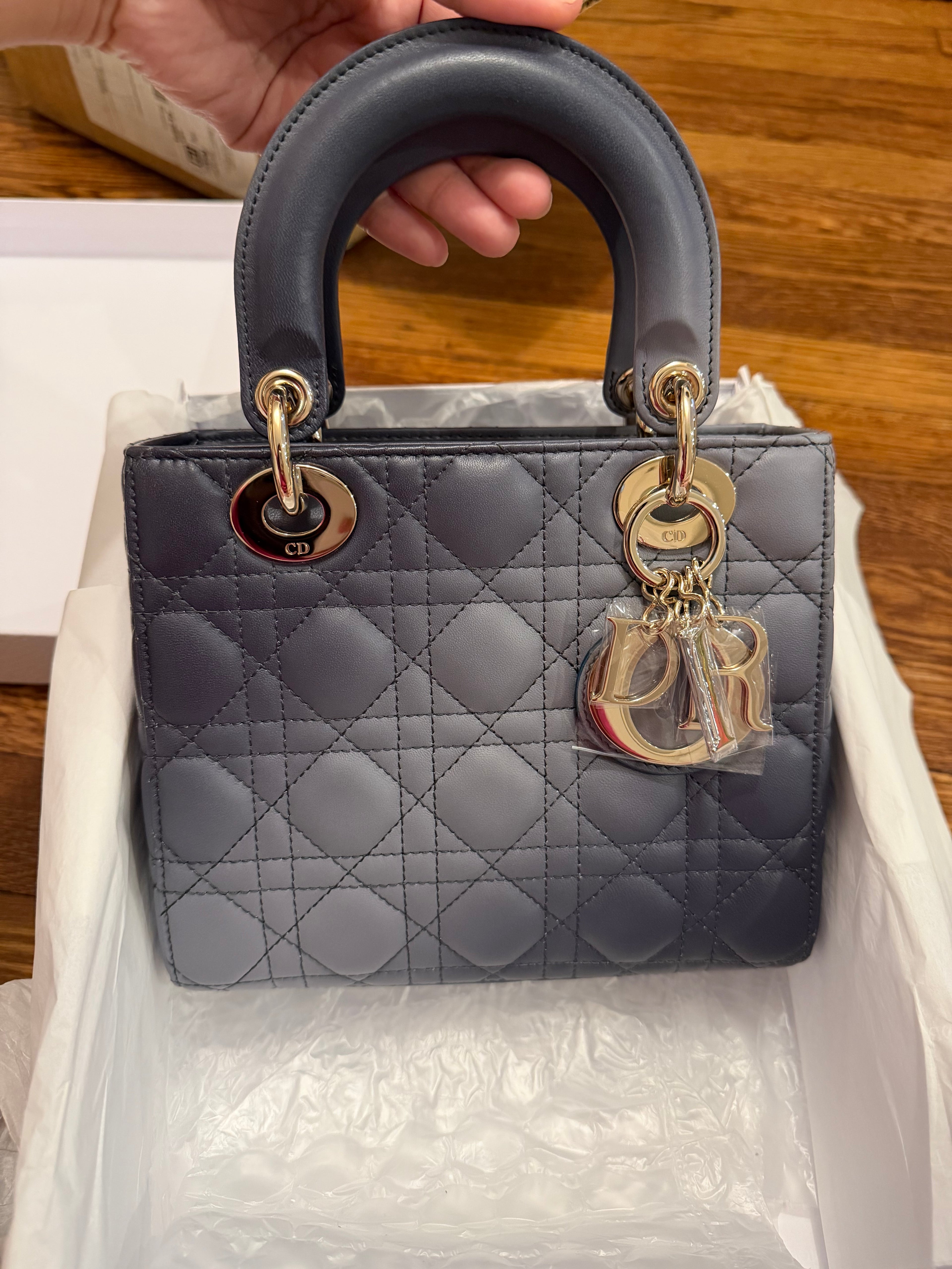 Lady Dior Small Ombre