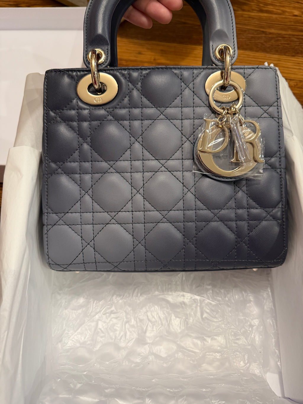 Lady Dior Small Ombre
