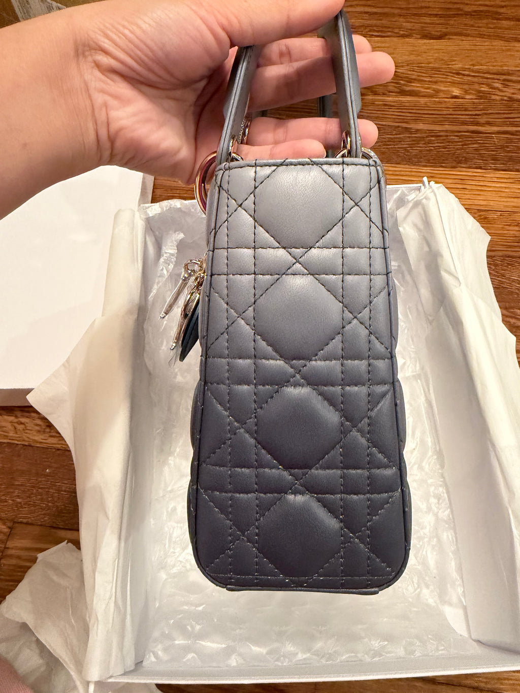 Lady Dior Small Ombre