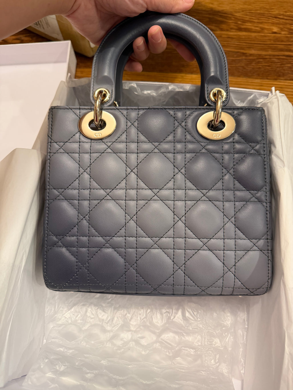 Lady Dior Small Ombre