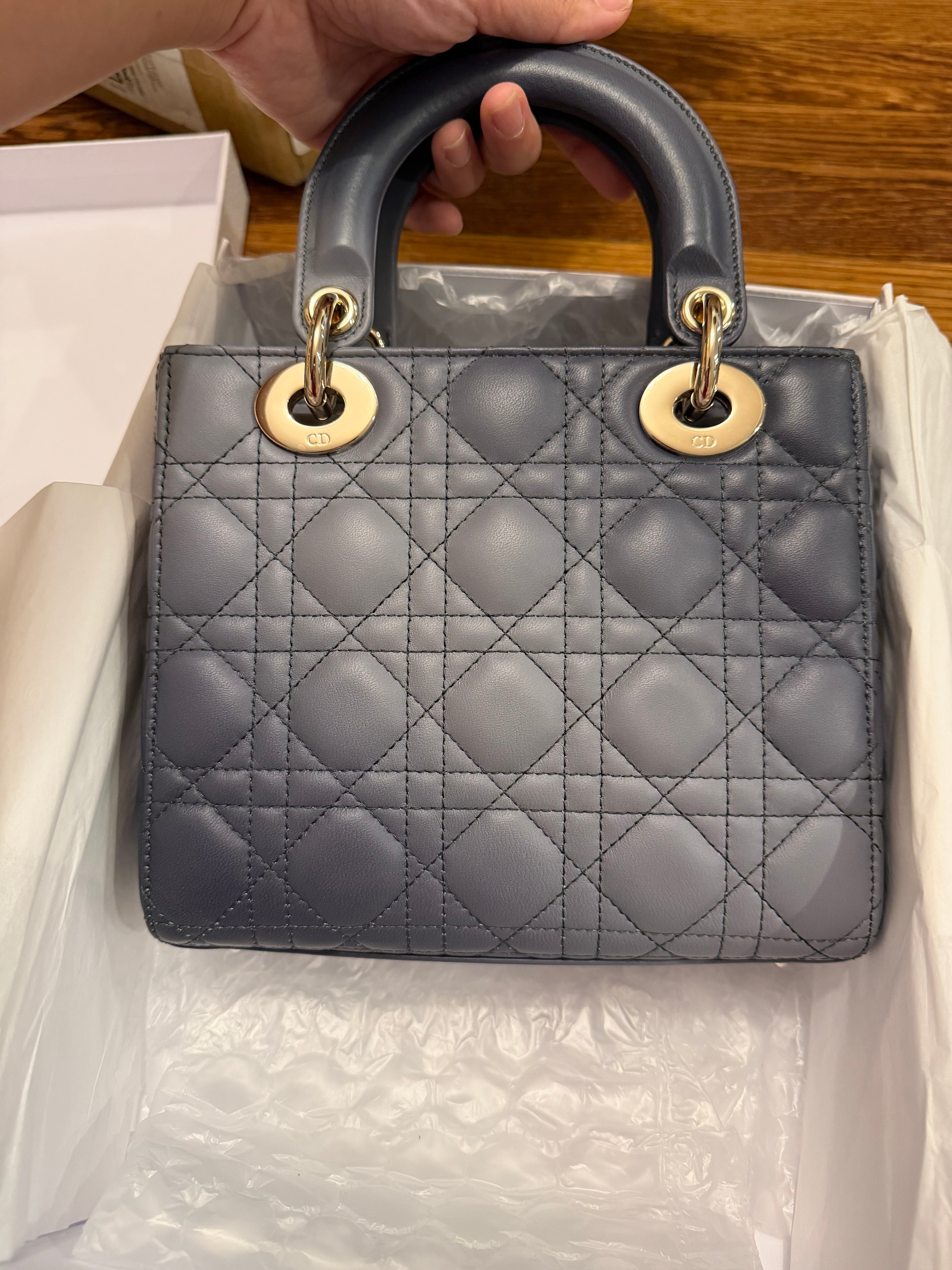 Lady Dior Small Ombre