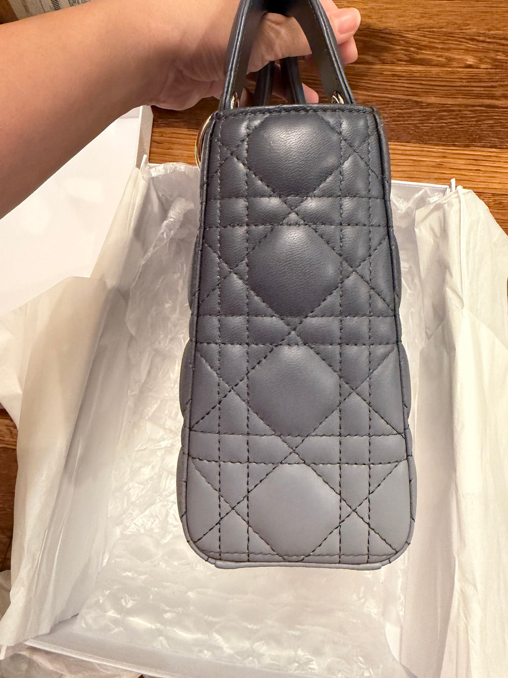 Lady Dior Small Ombre