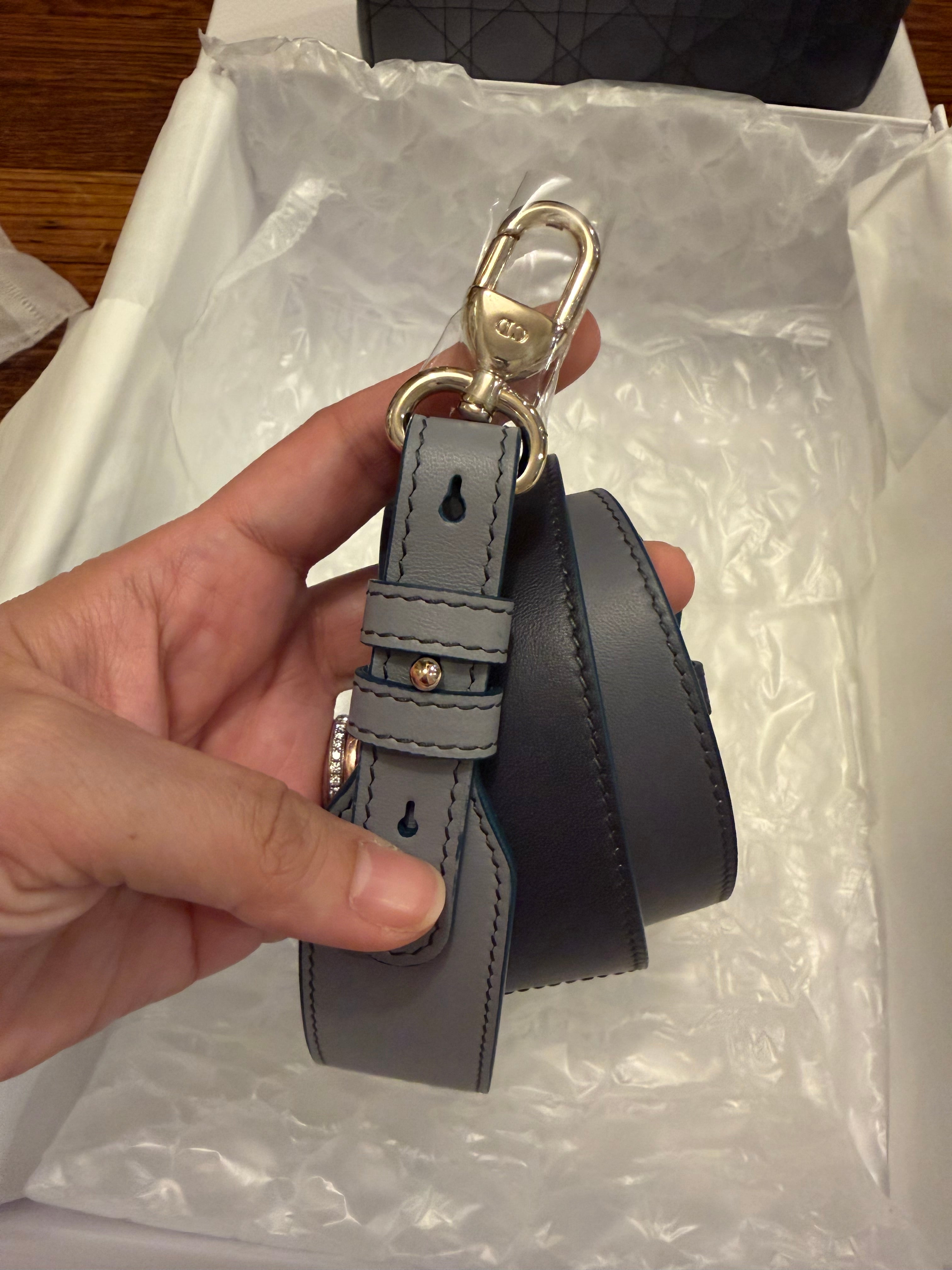 Lady Dior Small Ombre