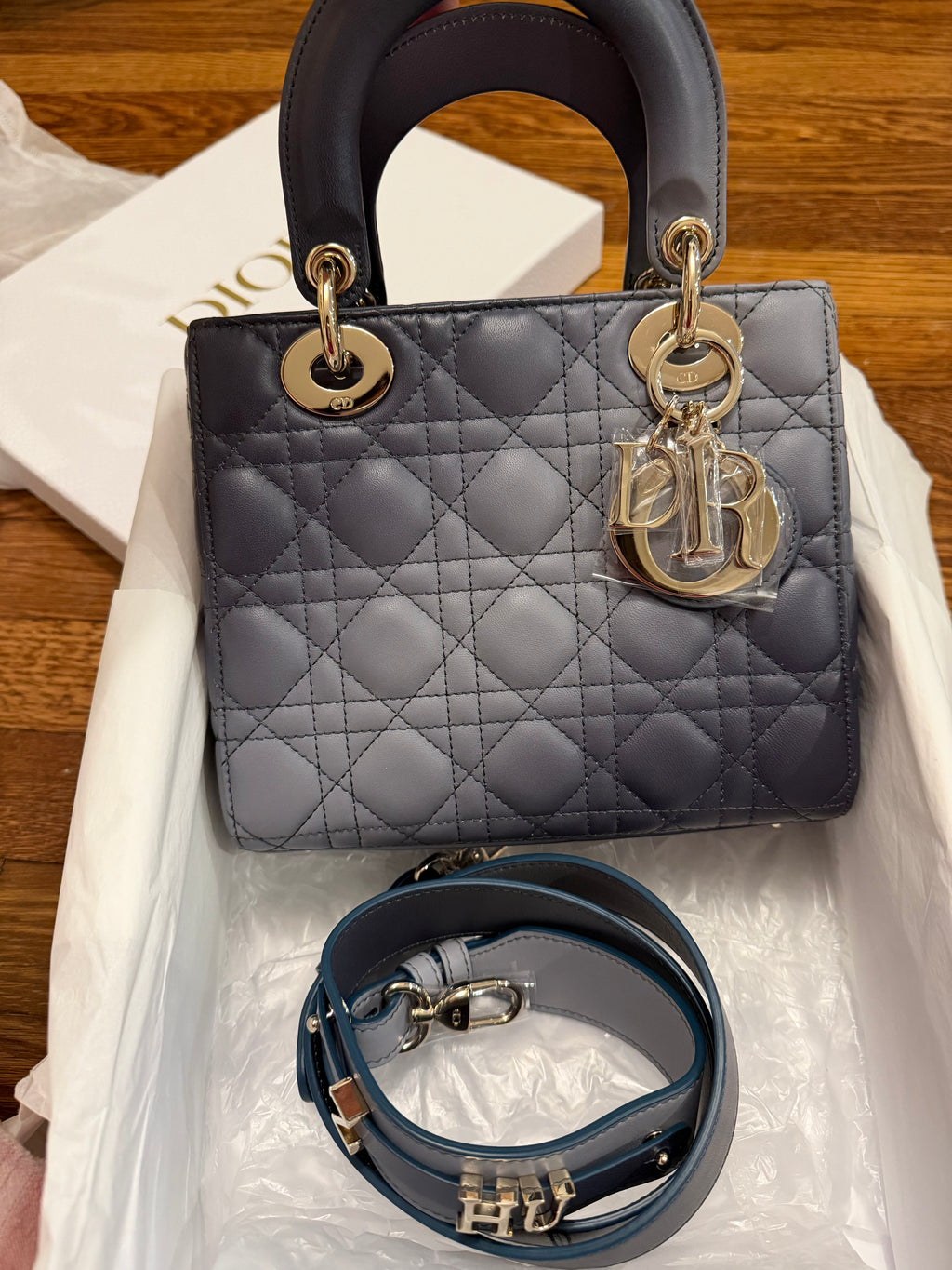Lady Dior Small Ombre