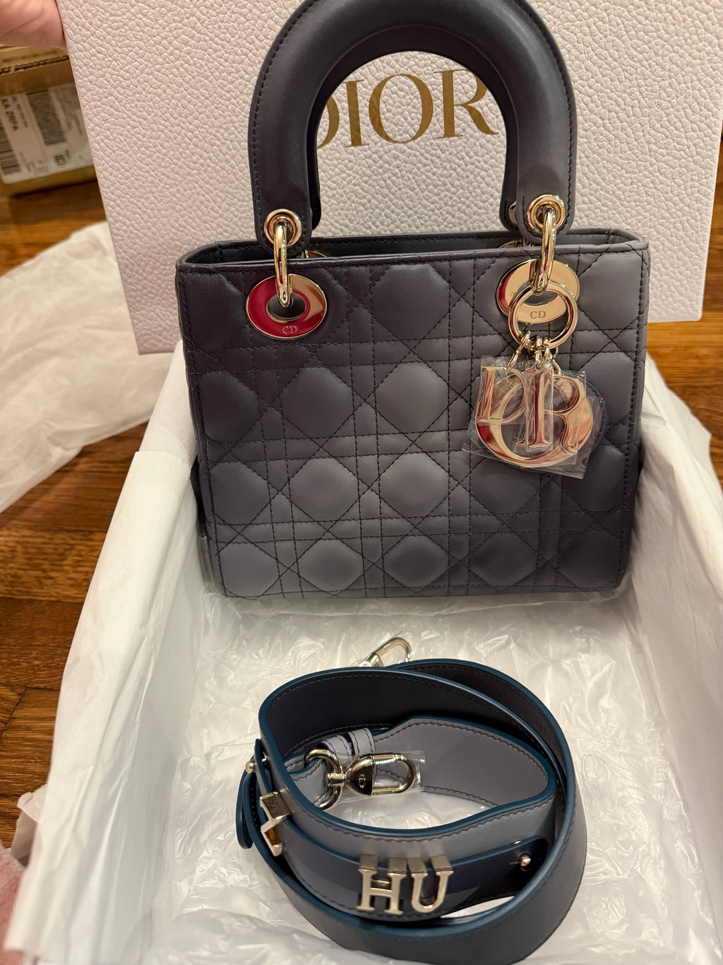 Lady Dior Small Ombre