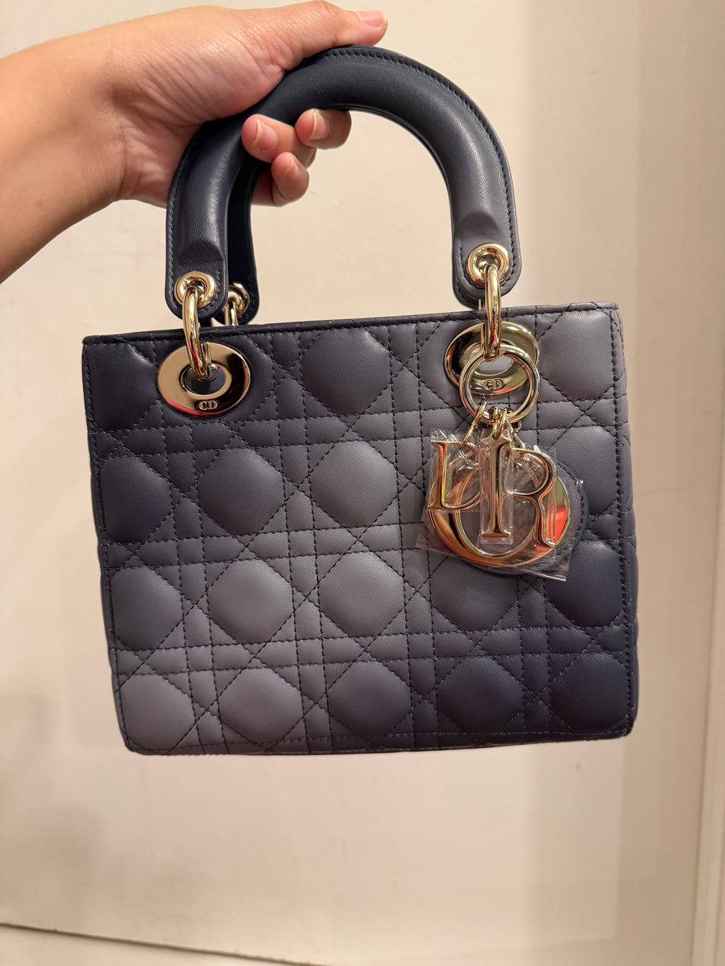 Lady Dior Small Ombre
